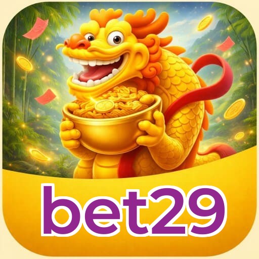 Resumo visual de bônus e campanhas bet29